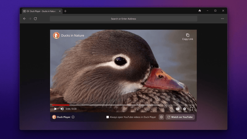 
                    DuckDuckGo открыл для всех тестирование своего десктопного браузера на Windows 

    
        Статьи редакции
            

            