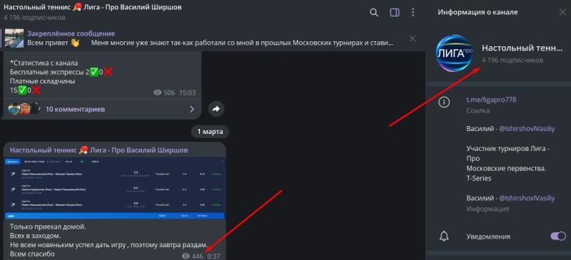 «Договорные матчи/ Настольный теннис Лига-Про Василий Ширшов»: честный обзор телеграмм-канала, отзывы