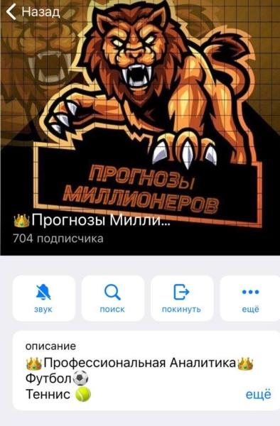 Прогнозы Миллионеров