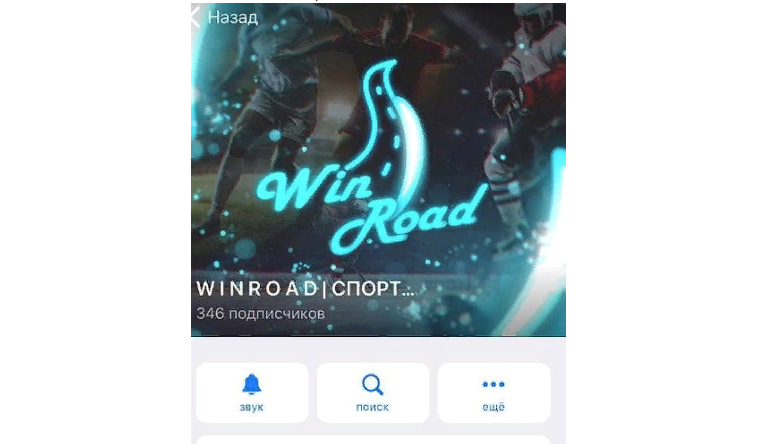 WINROAD — прогнозы на хоккей, отзывы