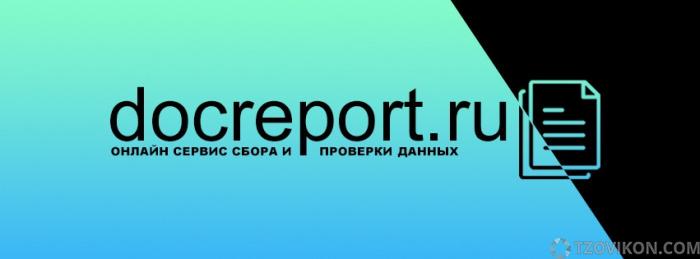 
                            Сайт Docreport.ru
                         - отзывы