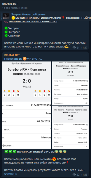 BRUTAL BET — отзывы о капперском канале